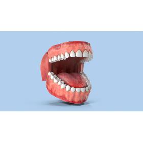 Teeth and Gums